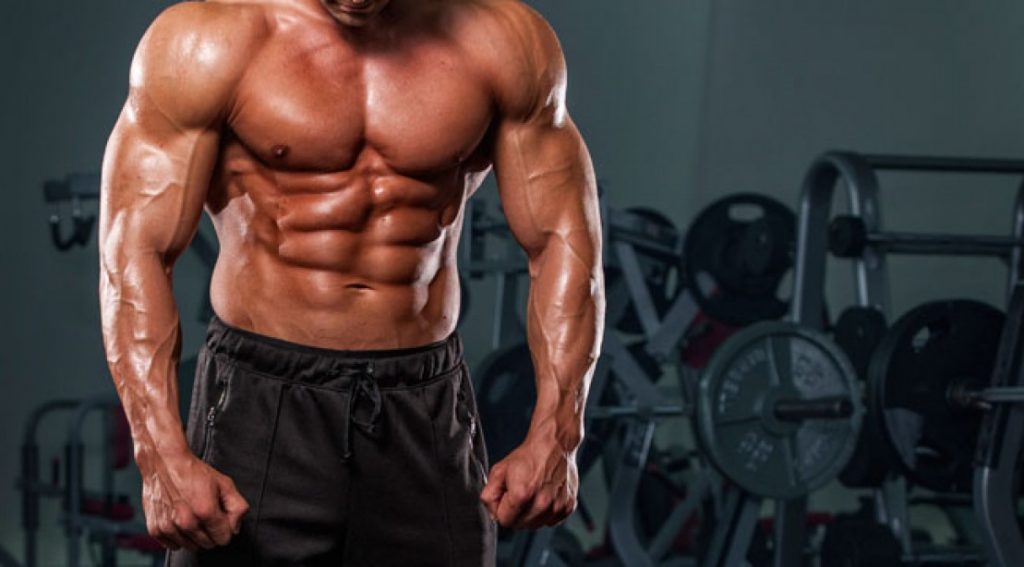 Bulk cycle steroid