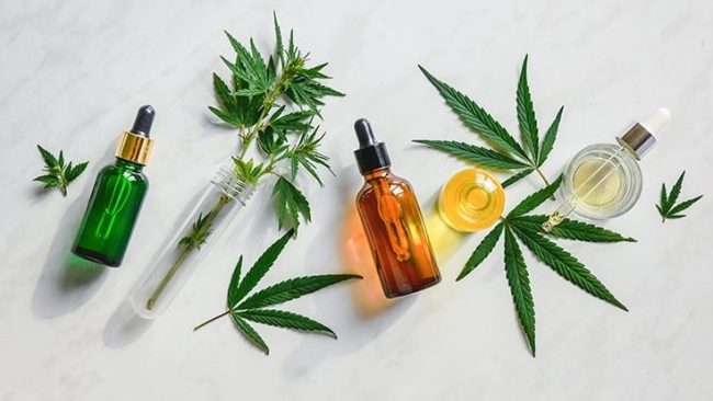 What is the reason behind the popularity of CBD oil?